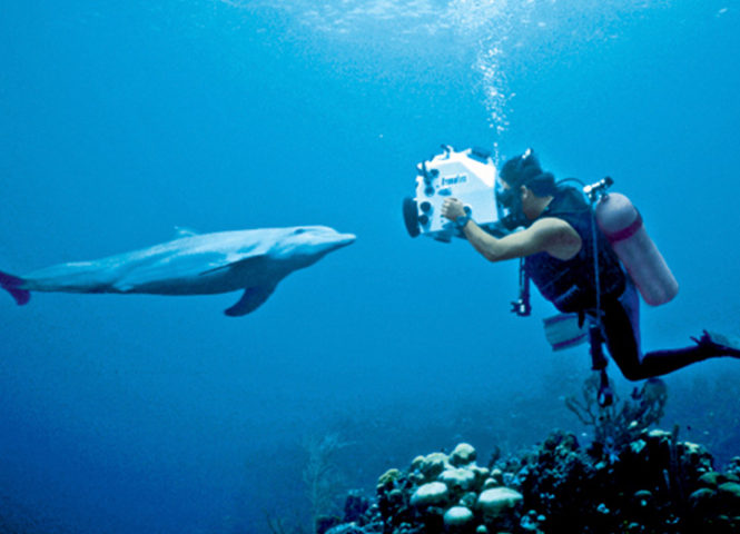 Scuba diver under water taking a picture of a dolphin from the film Dolphins The Ride